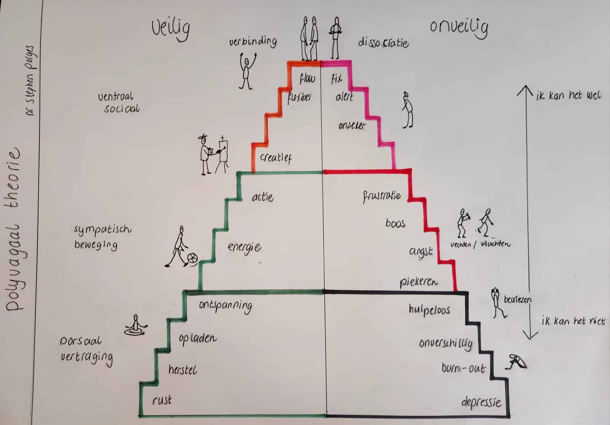 Polyvagaaltherapie: beter begrijpen hoe je lichaam reageert op stress