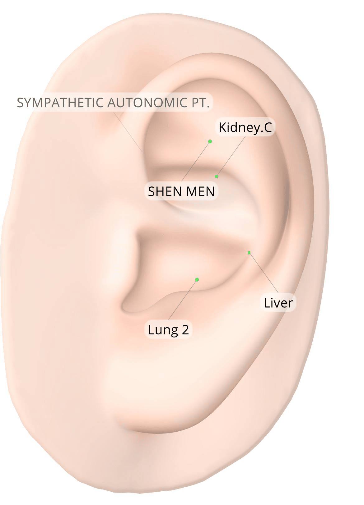 Ooracupunctuur bij Trauma